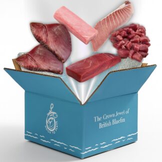 The Experience Box