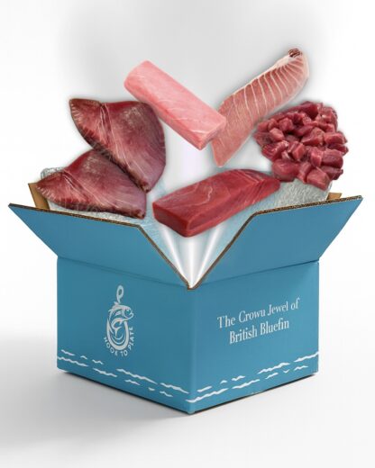 The Experience Box