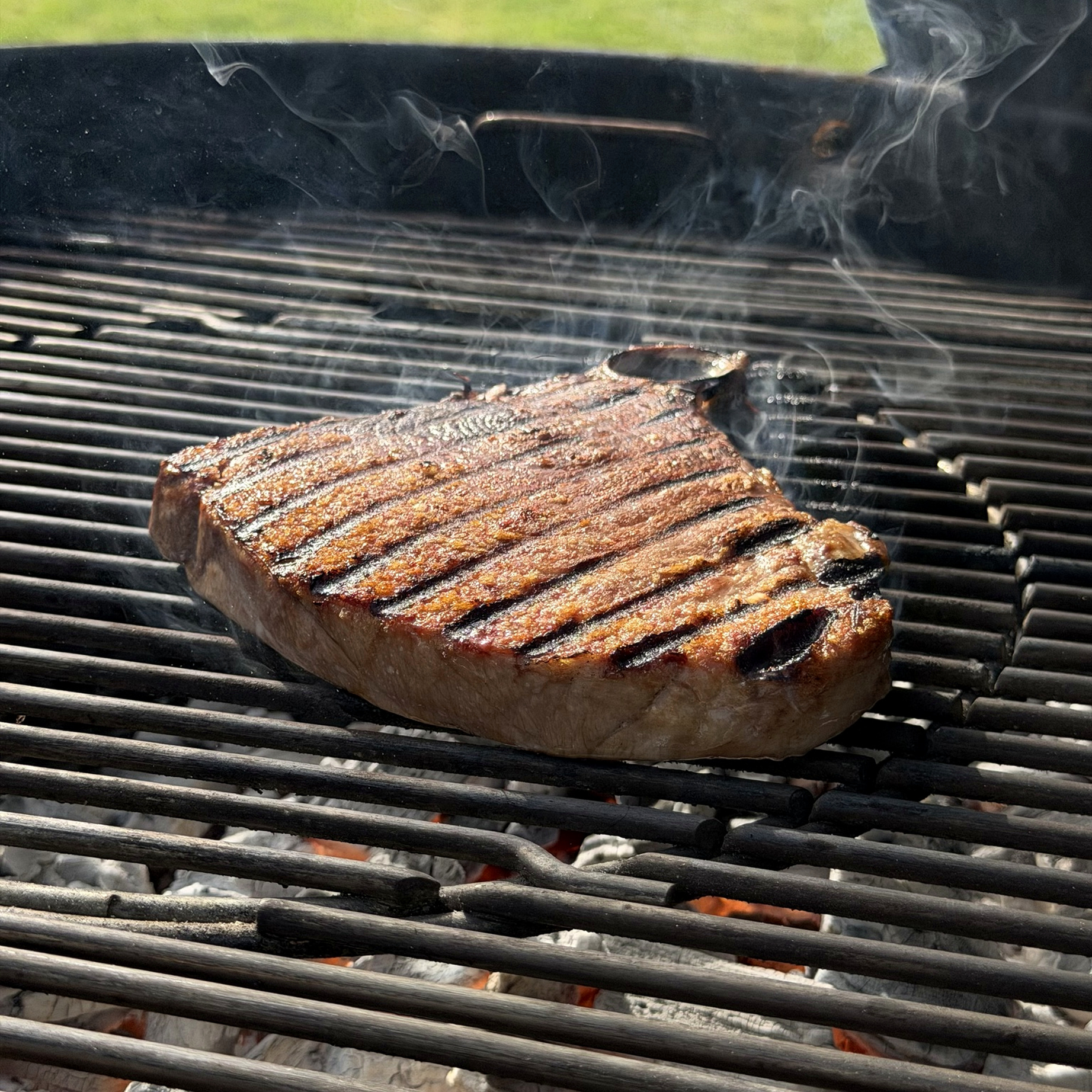 Sharing Bluefin Tuna Steak (Bone in) - Image 2